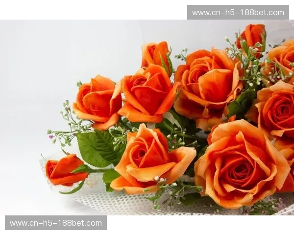 橙色郁金香与北欧红白的巅峰对弈：一场关于玫瑰、热血与荣耀的足球史诗